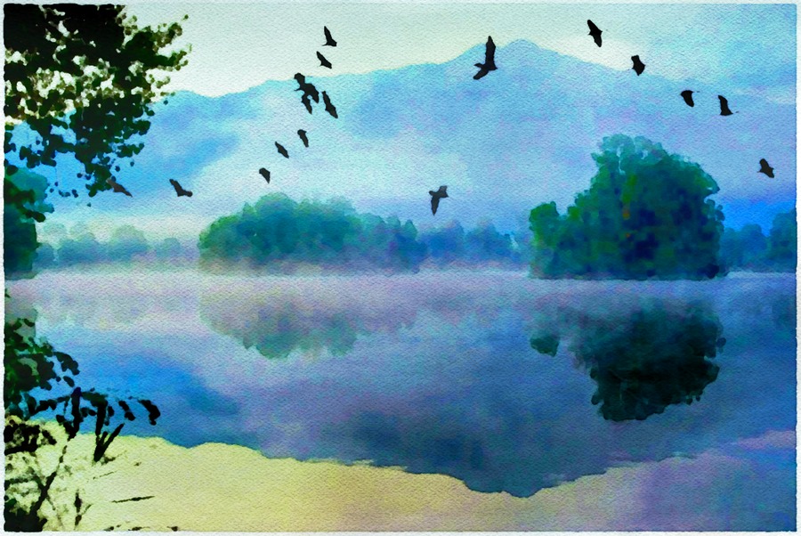 Birds Above The Mist