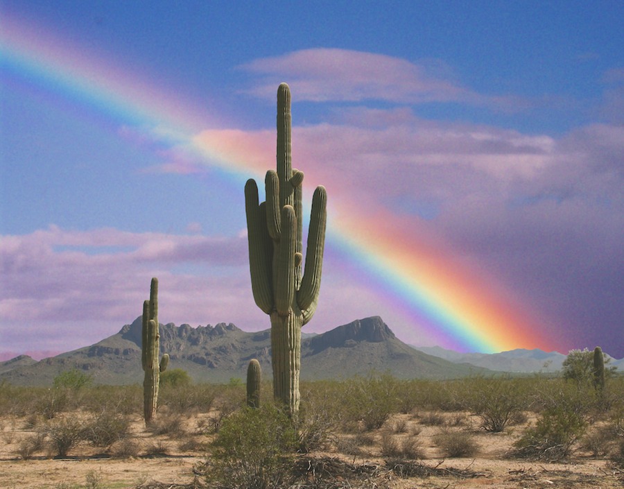 Desert Rainbow