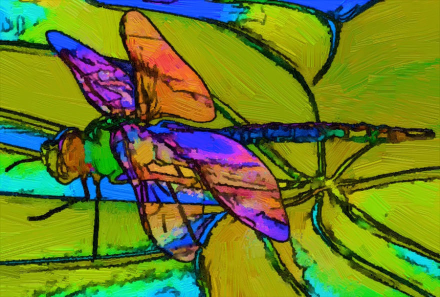 Dragonfly final - Version 2