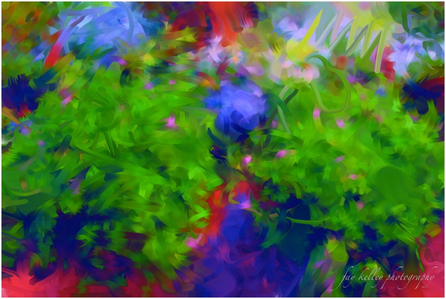 Garden Abstract