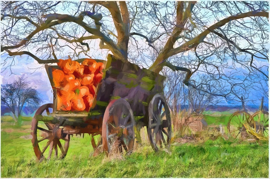 Harvest Wagon