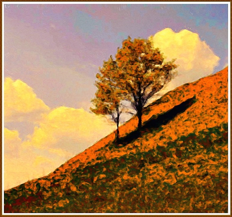 Hillside Trees