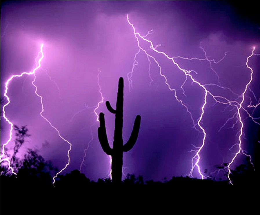 Lightening & Cactus