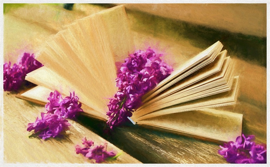 Lilac  Literature SM