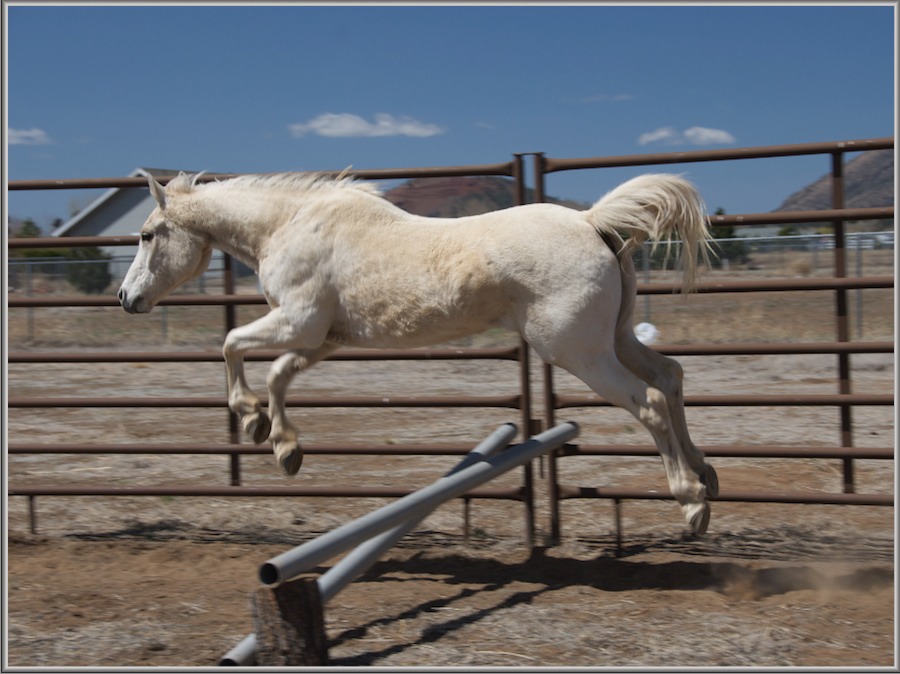 Oro Jumping_framed