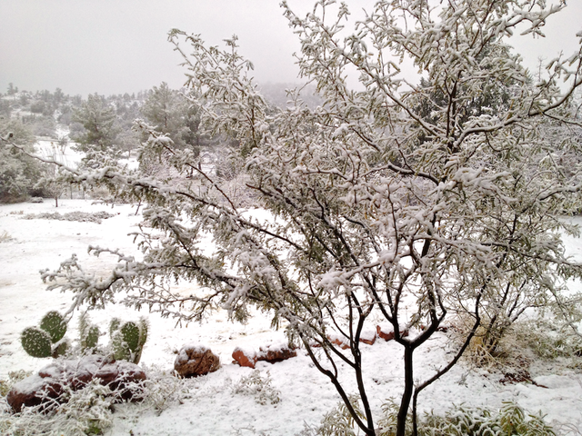 Sedona Snow