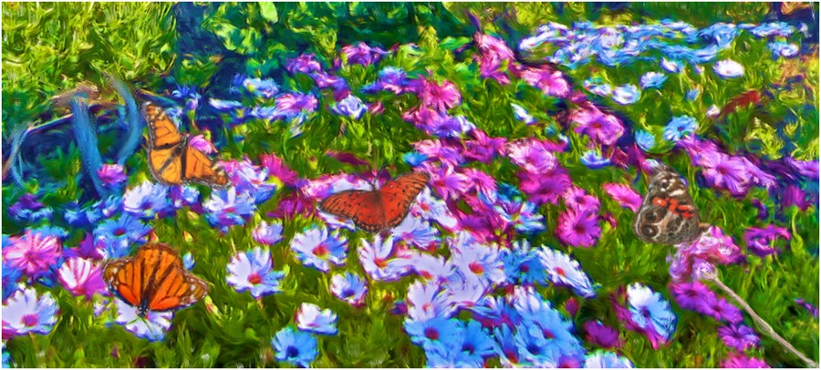 Shore Blooms & Butterfly