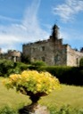 Summer Blooms At The Castle