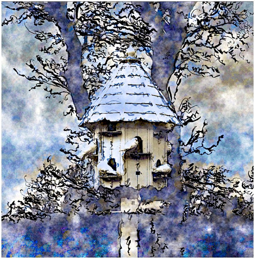 The Bird House