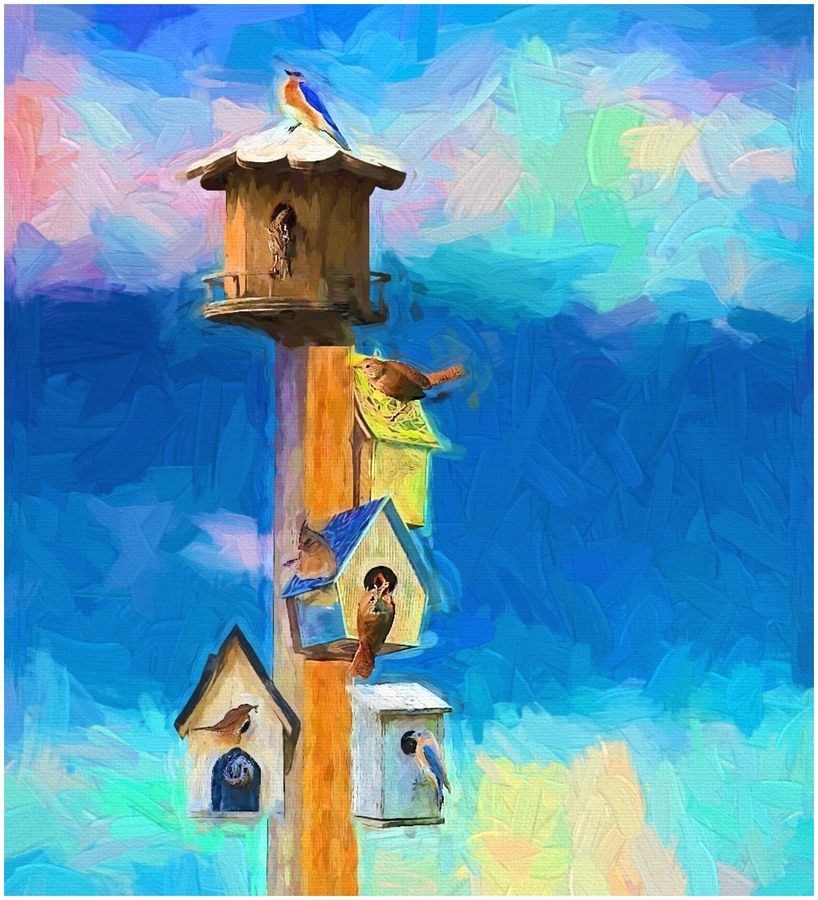 The Birdhouses