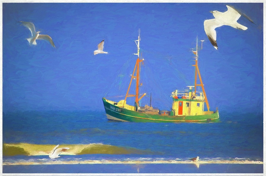 The Boat and Gulls