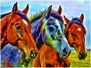 The Horses 2