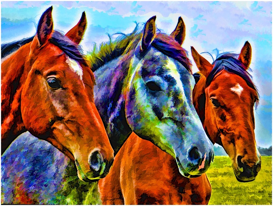 The Horses 2