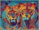 The Lions 3