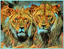 The Lions