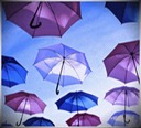 The Umbrellas