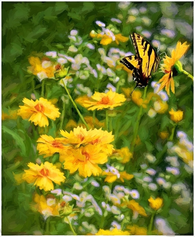 Yellow Flowers With Butterfly